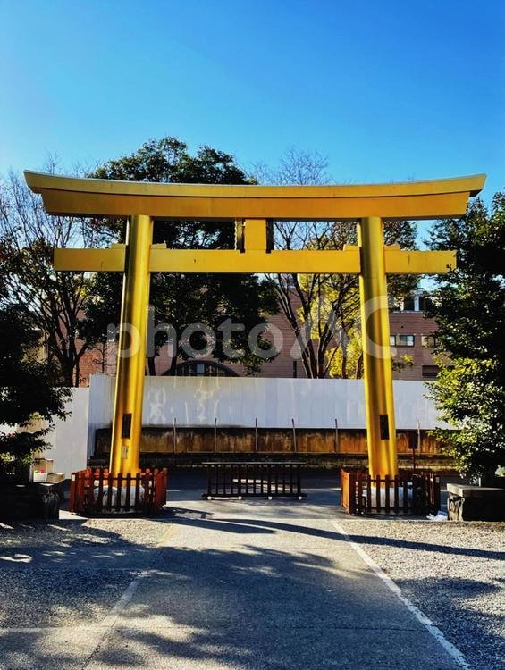 ⛩️ 금 신사(고가네 진자) 이미지 7